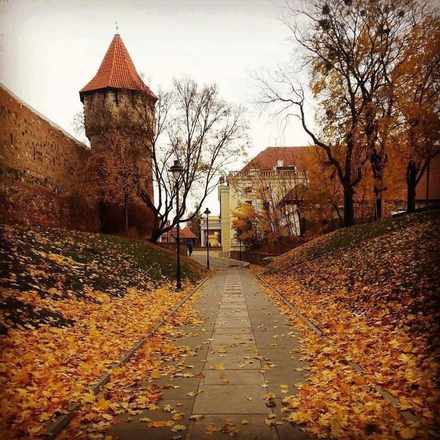 Cozy Residence Sibiu Exterior foto
